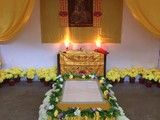 汕头狗死后安葬 狗安乐死 宠物火化-24小时宠物殡葬公司