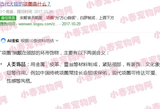 项圈是什么意思