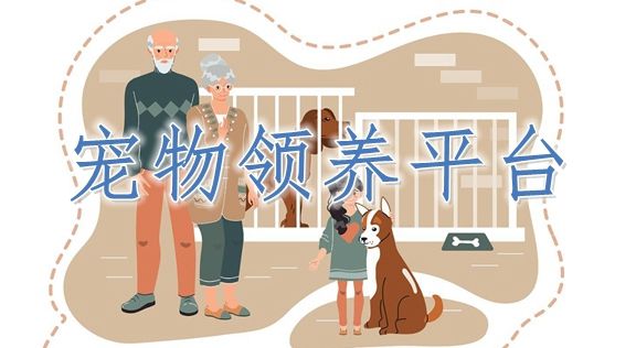 宠物领养平台