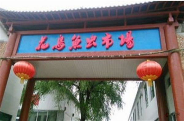 温州市最大的花鸟鱼虫市场在哪里