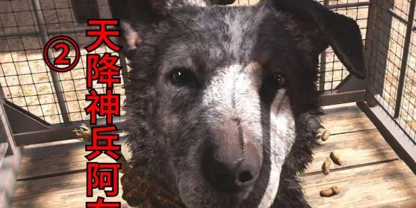 孤岛惊魂5中的阿布如何使用？它的优缺点是什么？ 第2张
