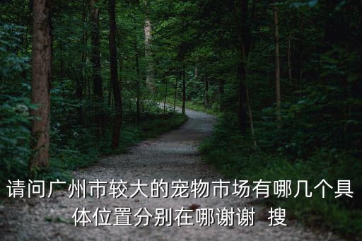请问广州市较大的宠物市场有哪几个具体位置分别在哪谢谢 搜