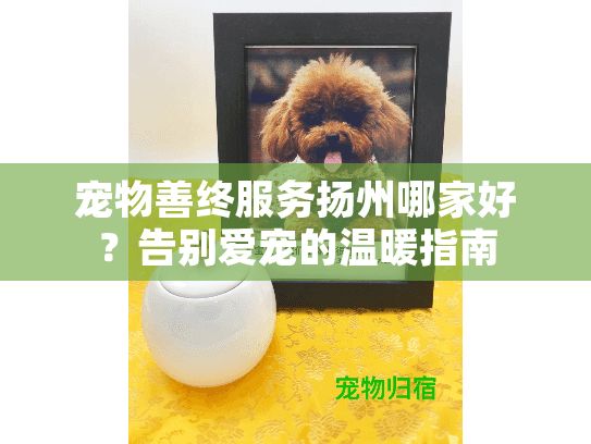 宠物善终服务扬州哪家好？告别爱宠的温暖指南