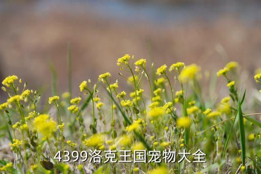 4399洛克王国宠物大全