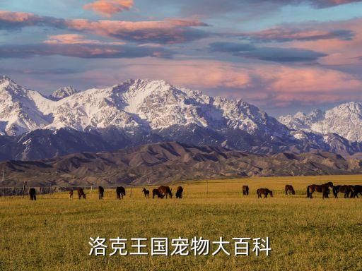 洛克王国宠物大百科