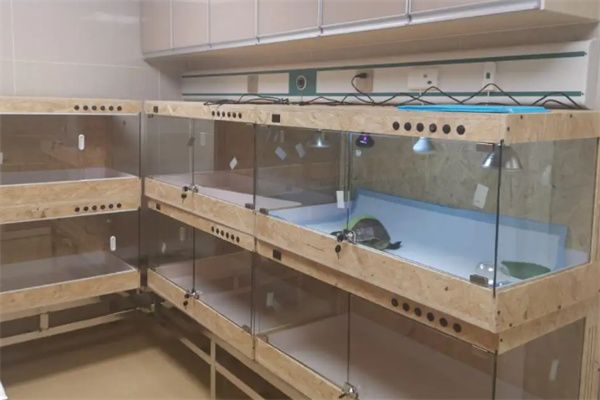 菲利斯宠物医院加盟