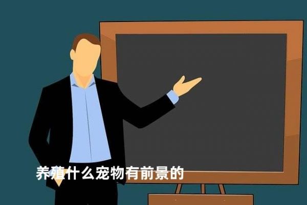养殖什么宠物有前景的