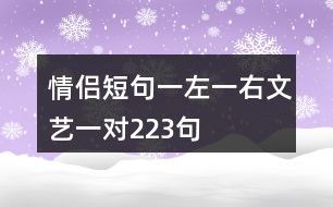 情侣短句一左一右文艺一对223句