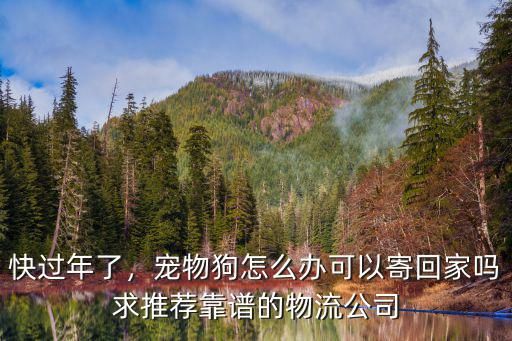 快过年了，宠物狗怎么办可以寄回家吗求推荐靠谱的物流公司