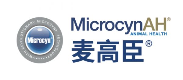 麦高臣教你如何春季养宠，快来get一下吧