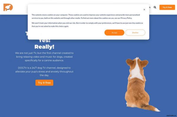 TV channel for Dogs and their Humans | DOGTV: Television for Dogs