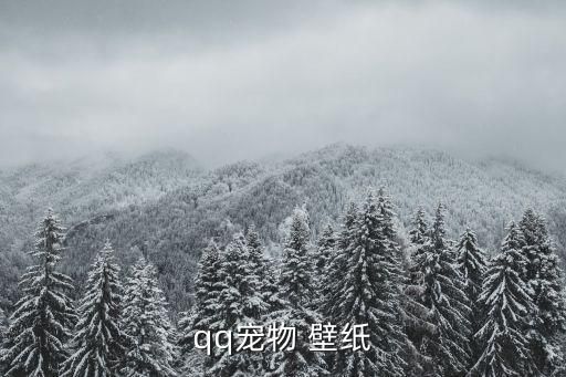qq宠物 壁纸
