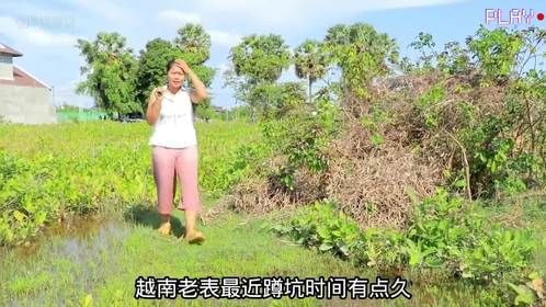 如果你最近便秘，不妨来上一只蛤蟆水晶粉丝汉堡