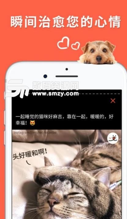 朋宠免费版图片