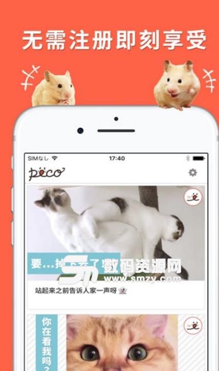 朋宠免费版介绍
