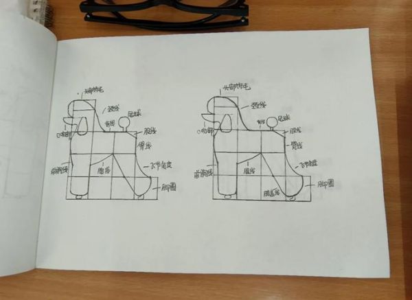 宠物美容腿怎么画好看又漂亮_宠物美容师画图视频教程