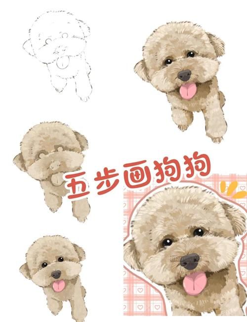 宠物美容腿怎么画好看又漂亮_宠物美容师画图视频教程