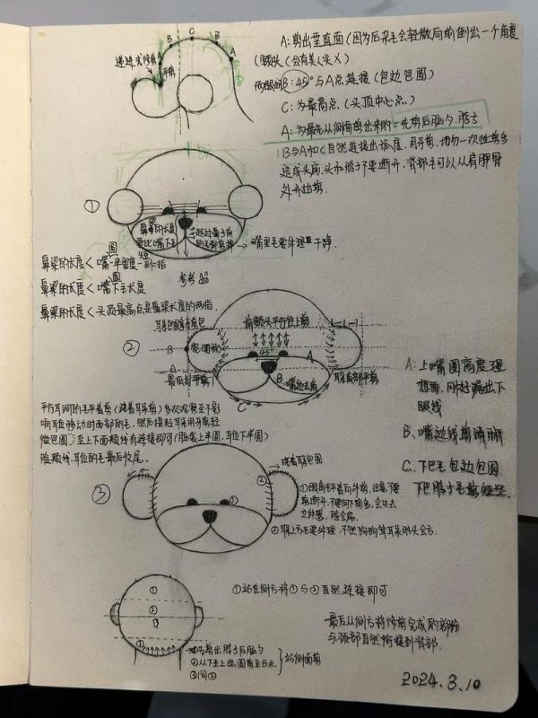 宠物美容画图详解图大全_宠物美容手绘图解
