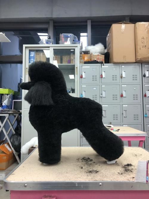 拉姆装练习