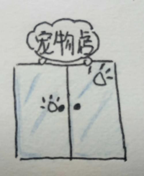 作者的宠物店