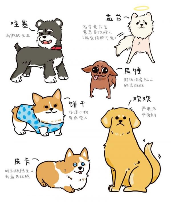 小区的狗友们狗狗简笔画画画萌宠日常瞎画抖音