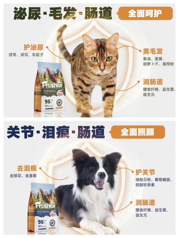 口袋厨房羊初乳鲜肉粮亮相重庆西洽会 本土品牌创新实力引行业瞩目