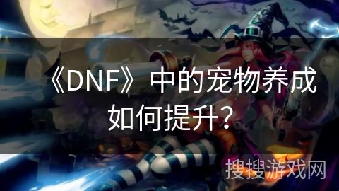 《DNF》中的宠物养成如何提升？