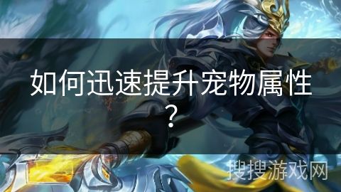 如何迅速提升宠物属性？
