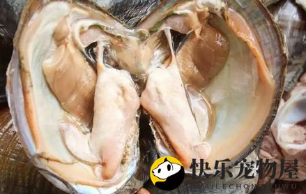 鼢鱼繁殖是否非河蚌不可