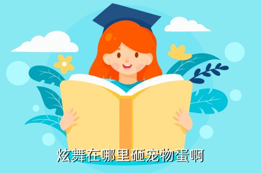 炫舞在哪里砸宠物蛋啊