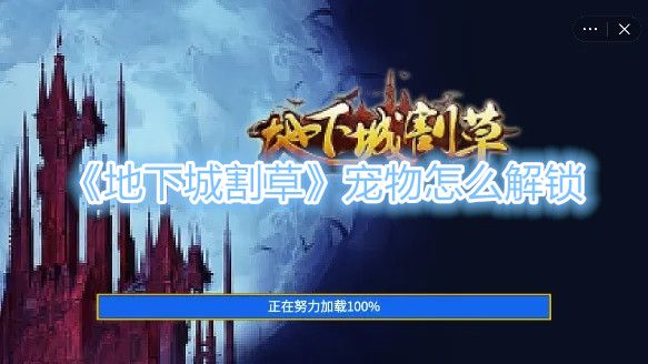 地下城割草宠物怎么获得 宠物怎么解锁方法