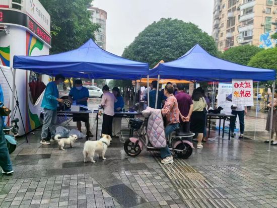 图为活动现场。江津区公安局供图