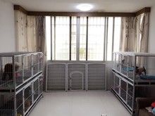 动物收养中心 宠物收容站 动物收容所 狗收容所 宠物养不