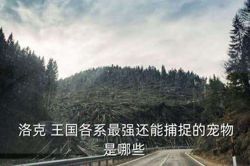 洛克 王国各系最强还能捕捉的宠物是哪些