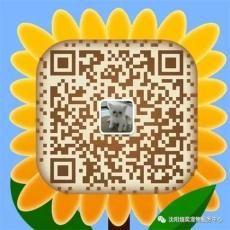 沈阳哪里有宠物火化的地方奕煊