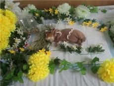 奕煊 沈阳宠物火化 车接车送 沈阳宠物火化