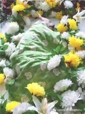 沈阳宠物殡葬 奕煊值得信赖 沈阳正规宠物
