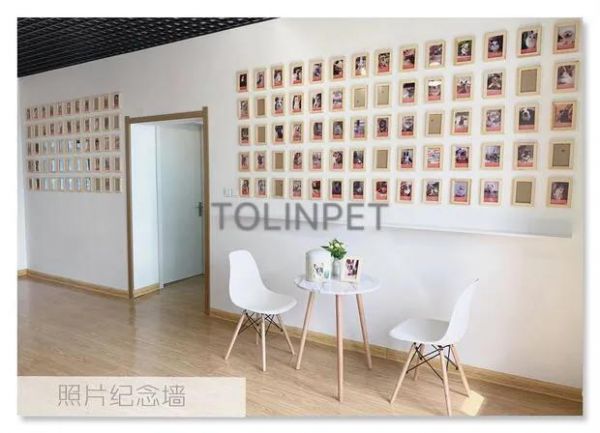 沈阳宠物火化服务_沈阳市宠物火化_沈阳宠物火化殡葬