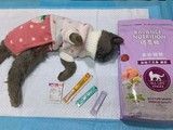 皇姑宠物火化公司电话