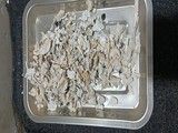 沈河实体门店宠物火化