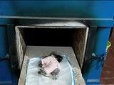 康平上门宠物善终服务 请找宠爱多