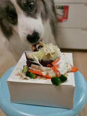 简单快手又健康的宠物蛋糕的做法 步骤7