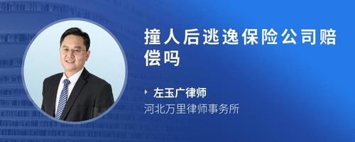 撞人后逃逸保险公司赔偿吗