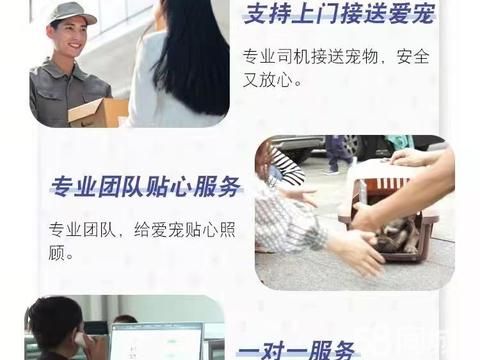 泗洪国内国际宠物托运公司·泗洪县宠物托运猫咪狗狗空运陆运上门接送宠物运输安全有保障