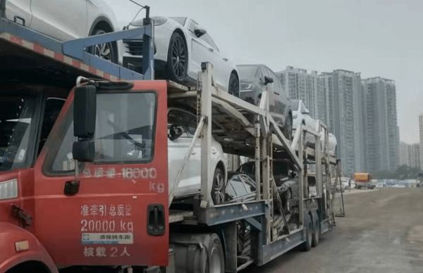 坐长途汽车托运宠物多少钱