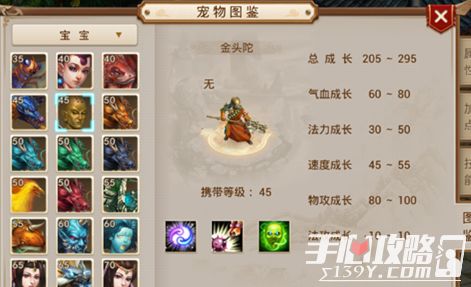 金头陀