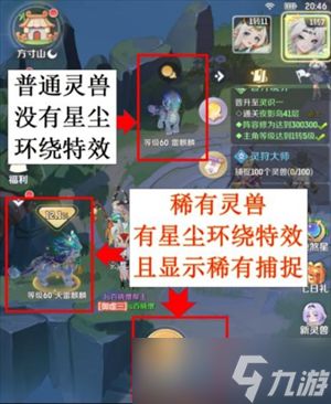 灵兽大冒险抓宠技巧分享