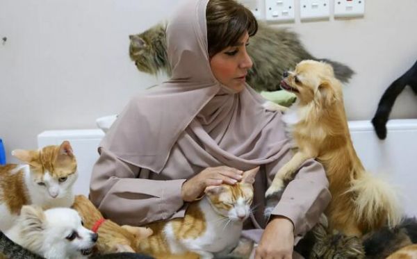 阿曼爱宠狂人养了480只猫和12条狗
