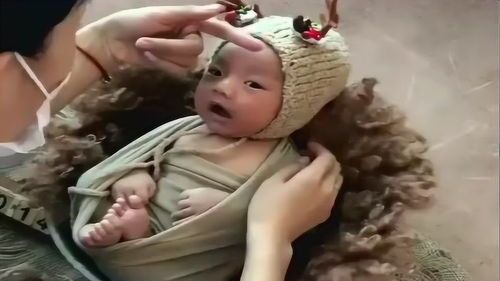 萌萌桌面宠物：让你的电脑变得更可爱？推荐十款最受欢迎的桌面宠物软件