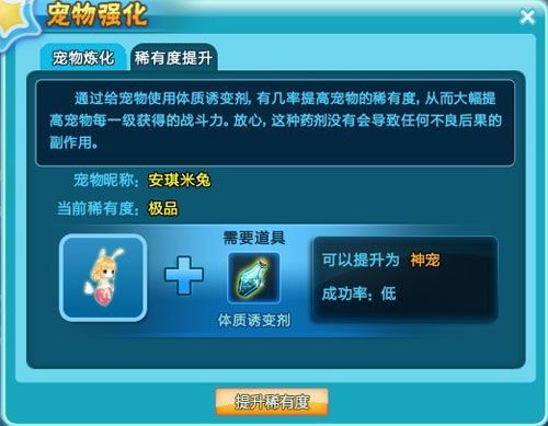 QQ宠物攻略大全？养成指南、技巧、装备推荐